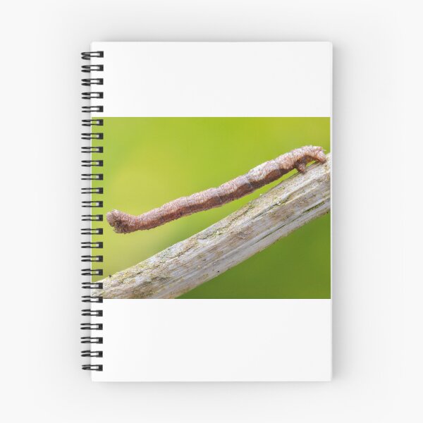 Item preview, Geometer moth caterpillar designed and sold by SharpSpoods.