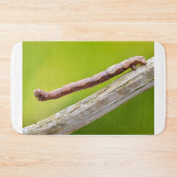 Item preview, Geometer moth caterpillar designed and sold by SharpSpoods.