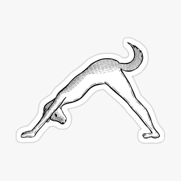 Downward-Facing Dog Pose / Adho Mukha Svanasana Sticker