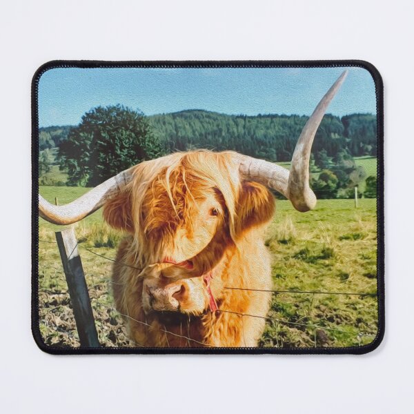 Item preview, Highland cow , Scotland designed and sold by Photogold Photo Gifts.