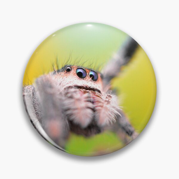 Item preview, Cute Jumping spider waving (Phidippus regius) designed and sold by SharpSpoods.