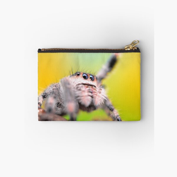Item preview, Cute Jumping spider waving (Phidippus regius) designed and sold by SharpSpoods.