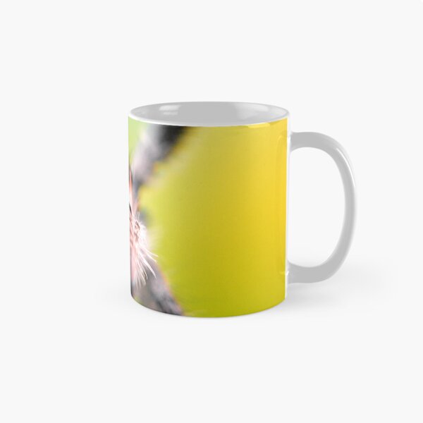 Item preview, Cute Jumping spider waving (Phidippus regius) designed and sold by SharpSpoods.