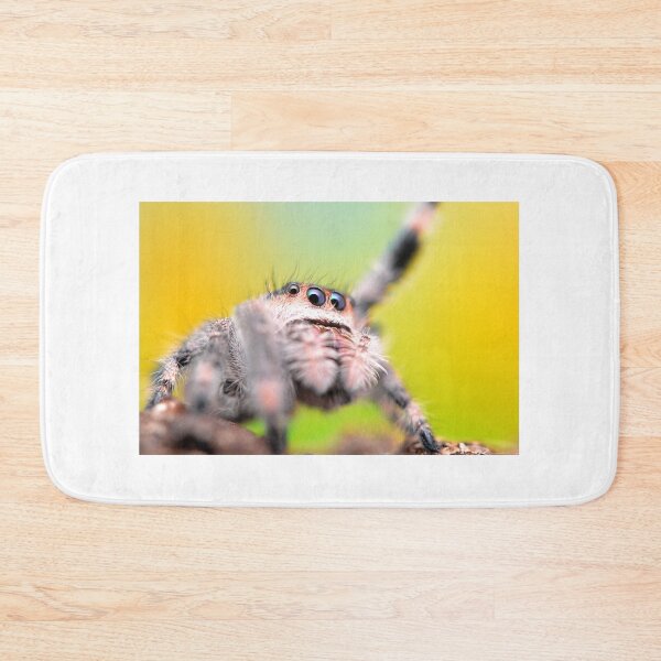 Item preview, Cute Jumping spider waving (Phidippus regius) designed and sold by SharpSpoods.
