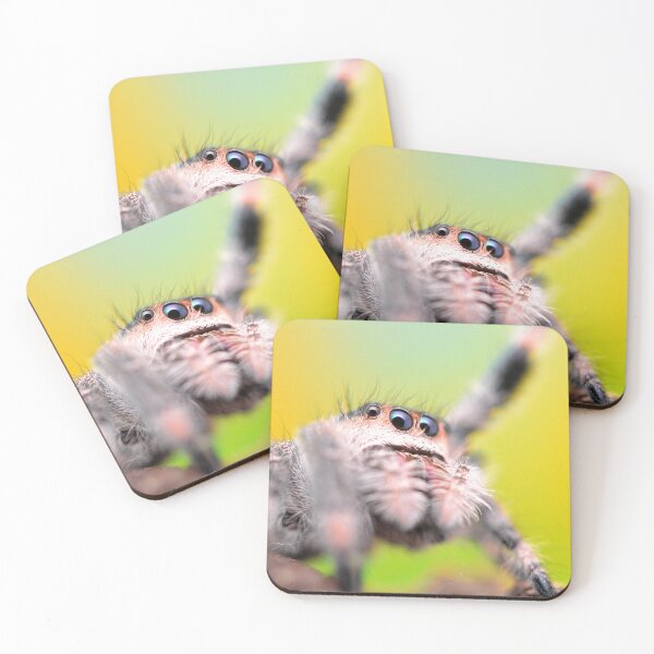 Item preview, Cute Jumping spider waving (Phidippus regius) designed and sold by SharpSpoods.