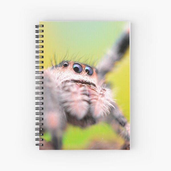 Item preview, Cute Jumping spider waving (Phidippus regius) designed and sold by SharpSpoods.