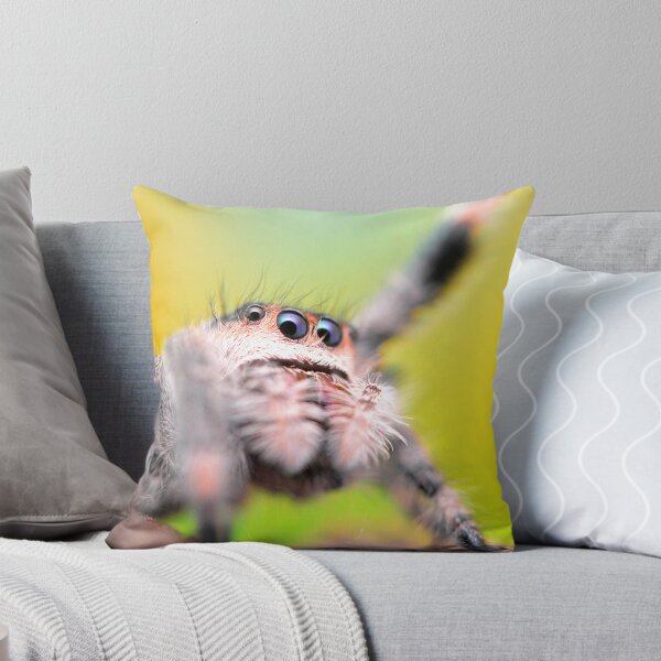 Item preview, Cute Jumping spider waving (Phidippus regius) designed and sold by SharpSpoods.