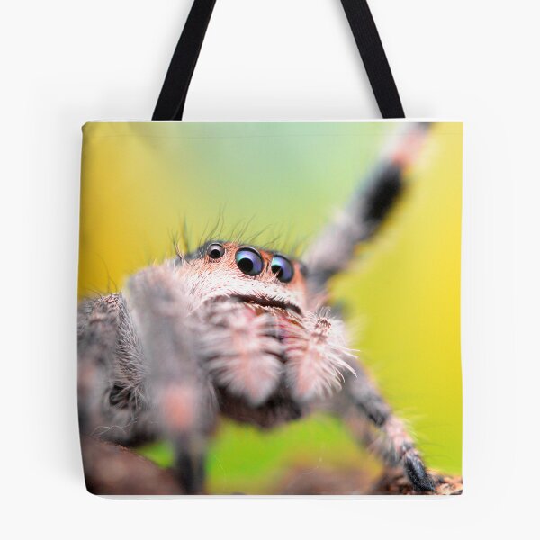 Item preview, Cute Jumping spider waving (Phidippus regius) designed and sold by SharpSpoods.