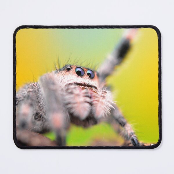 Item preview, Cute Jumping spider waving (Phidippus regius) designed and sold by SharpSpoods.