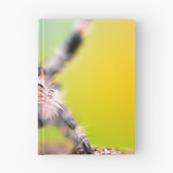 Item preview, Cute Jumping spider waving (Phidippus regius) designed and sold by SharpSpoods.