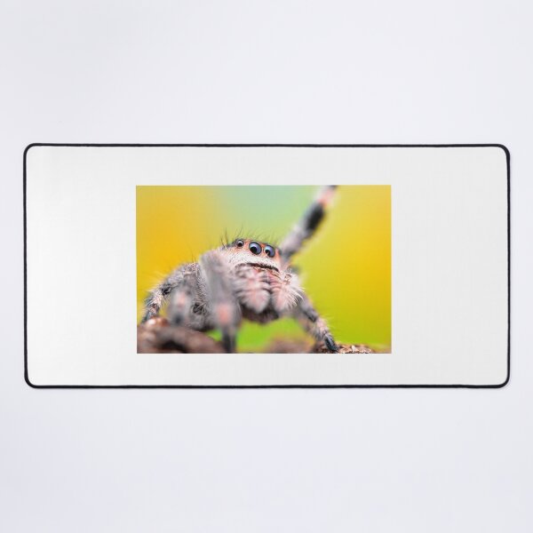 Item preview, Cute Jumping spider waving (Phidippus regius) designed and sold by SharpSpoods.
