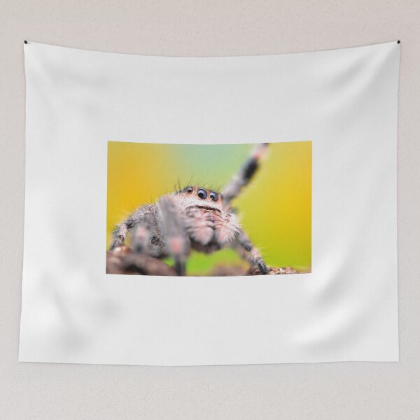 Item preview, Cute Jumping spider waving (Phidippus regius) designed and sold by SharpSpoods.