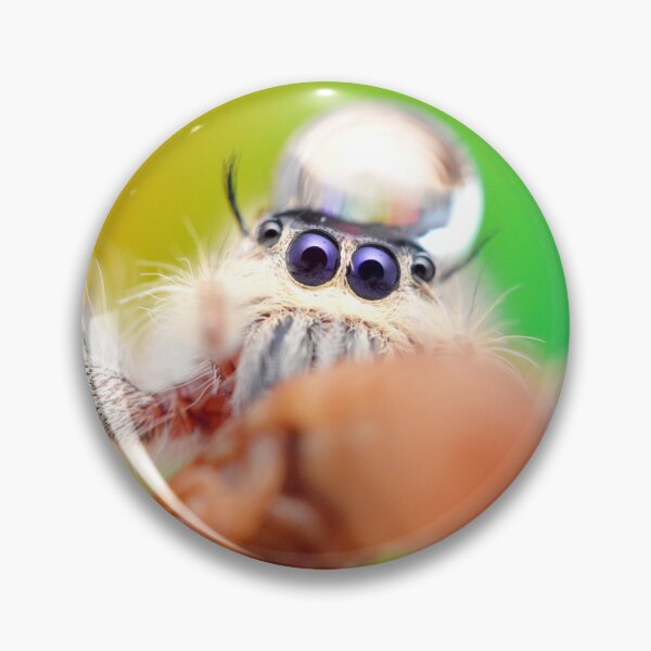 Item preview, Jumping spider with water droplet (Hyllus diardi) designed and sold by SharpSpoods.