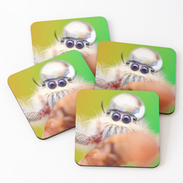 Item preview, Jumping spider with water droplet (Hyllus diardi) designed and sold by SharpSpoods.