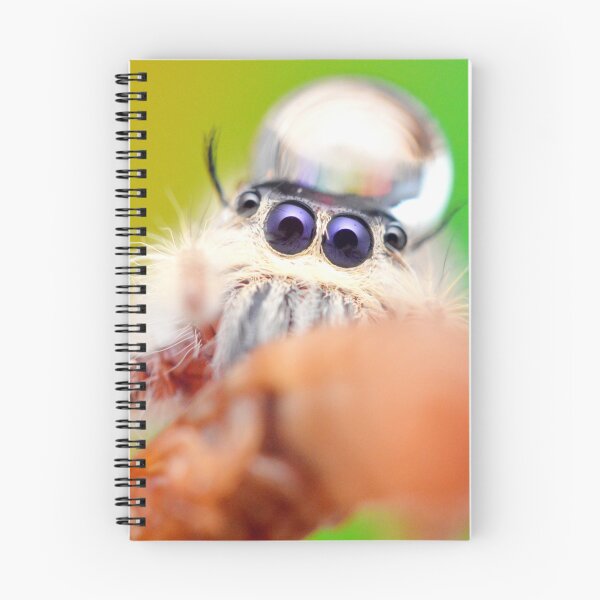 Item preview, Jumping spider with water droplet (Hyllus diardi) designed and sold by SharpSpoods.