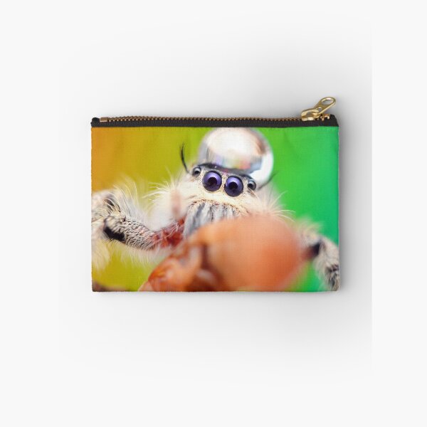 Item preview, Jumping spider with water droplet (Hyllus diardi) designed and sold by SharpSpoods.