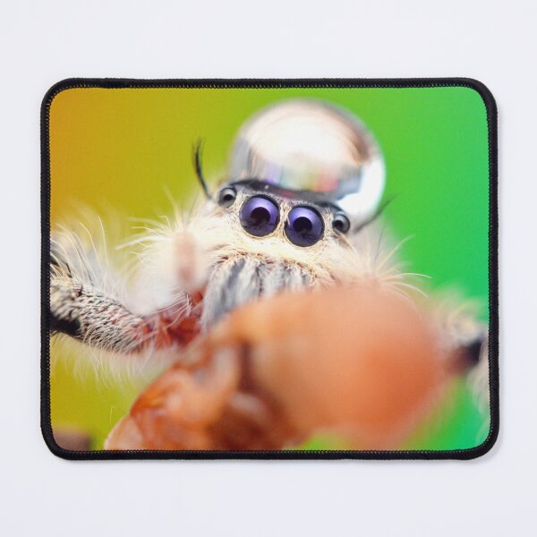 Item preview, Jumping spider with water droplet (Hyllus diardi) designed and sold by SharpSpoods.
