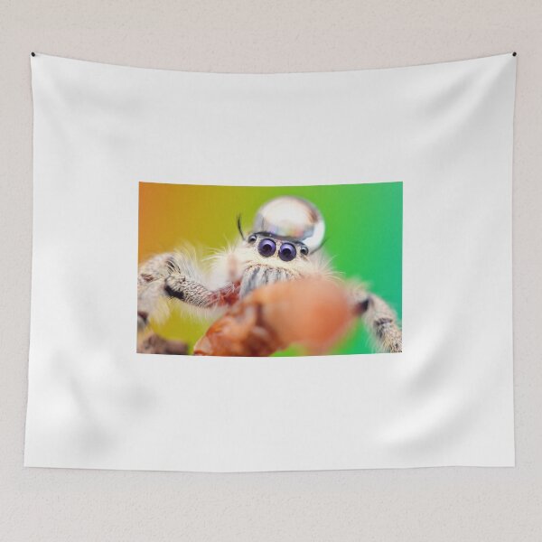 Item preview, Jumping spider with water droplet (Hyllus diardi) designed and sold by SharpSpoods.
