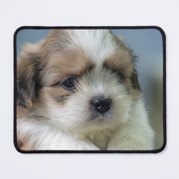 Item preview, Puppy Love designed and sold by likbatonboot.