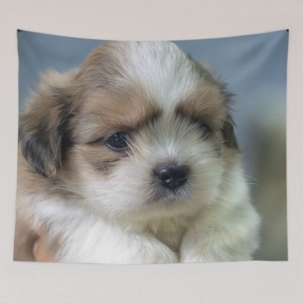 Item preview, Puppy Love designed and sold by likbatonboot.