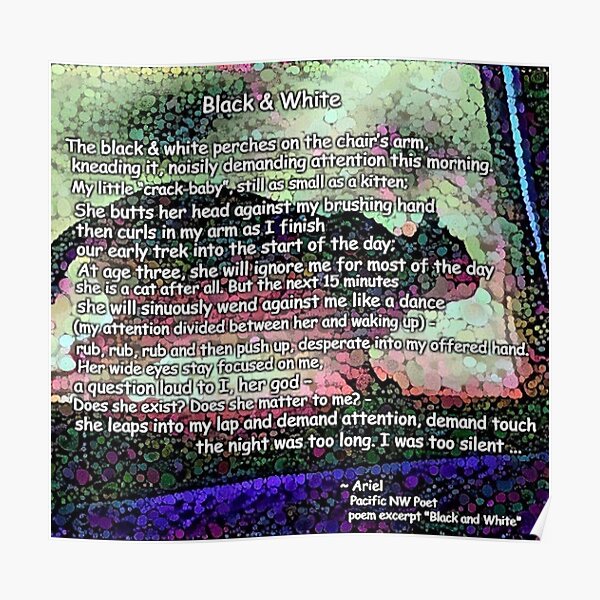Black & White poem Poster