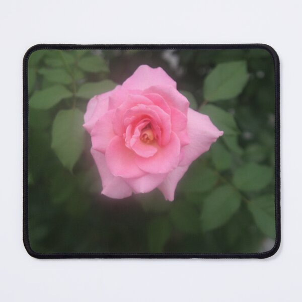 Item preview, Summer Rose designed and sold by DeenaSuzanne.