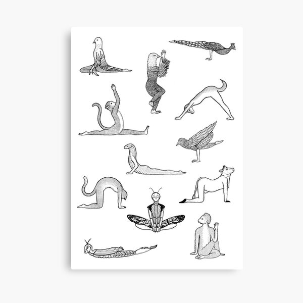 12 Yoga Animals - by Shamanthi Canvas Print