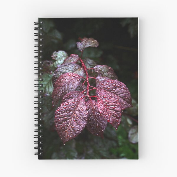 Item preview, Raindrops on copper beech leaves designed and sold by AntonyGRobinson.