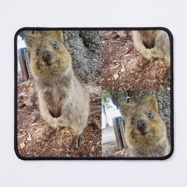 Item preview, Quokka designed and sold by prouddesigns.