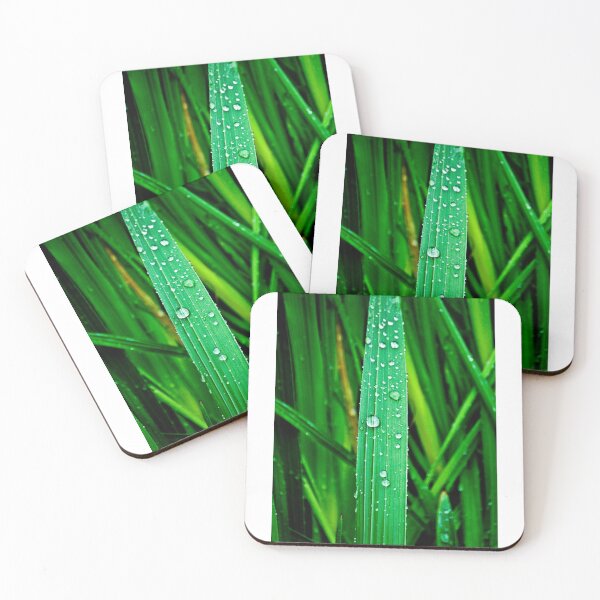 Item preview, Blade of grass after the rain designed and sold by bkgfoto.