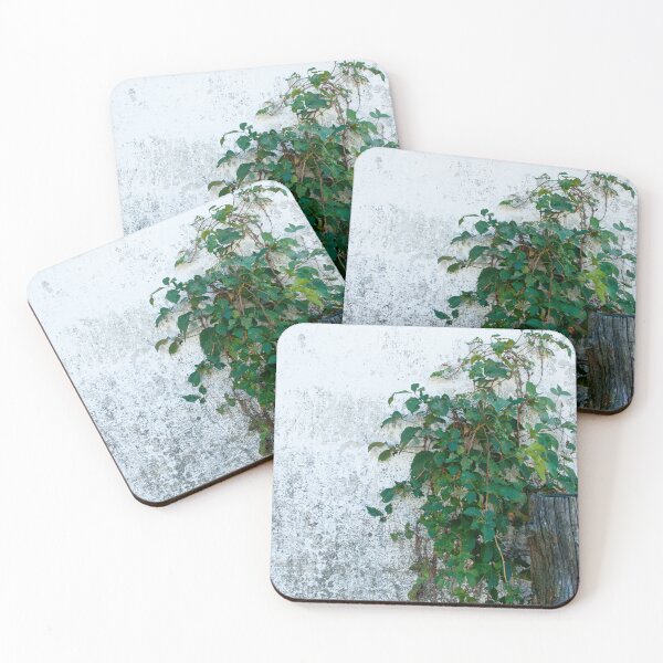 Item preview, Ivy on wall designed and sold by bkgfoto.