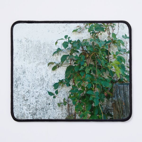 Item preview, Ivy on wall designed and sold by bkgfoto.