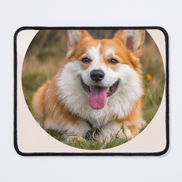 Item preview, 	dog distraction designed and sold by dirarr.