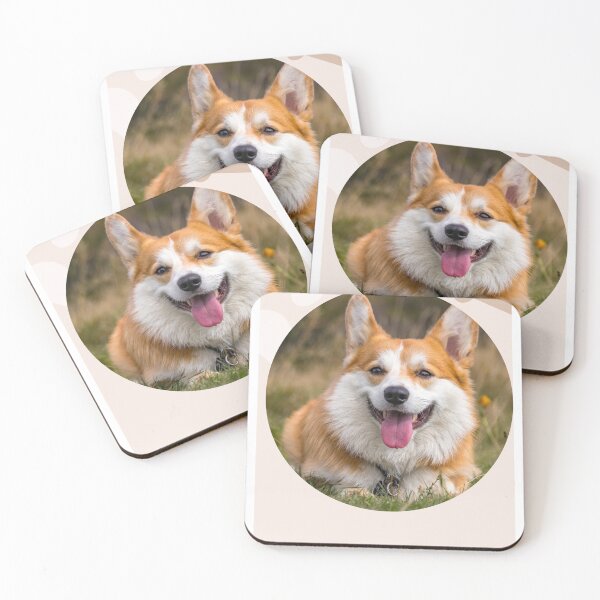 Item preview, 	dog distraction designed and sold by dirarr.