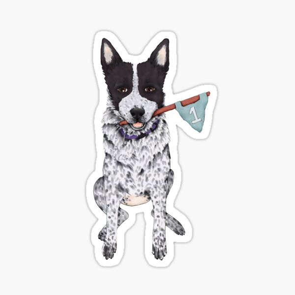 Blue Heeler Number 1, by Artwork by AK Sticker