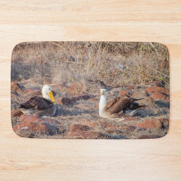 Item preview, Waved Albatross Nesting designed and sold by SafariByMarisa.