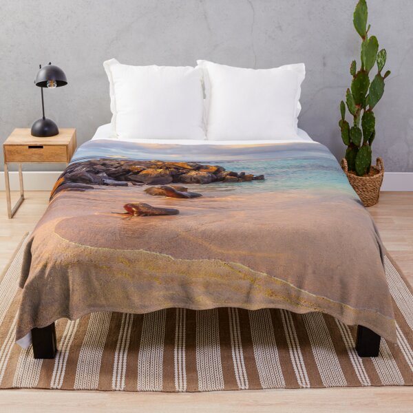Item preview, Sea Lions on the Beach designed and sold by SafariByMarisa.