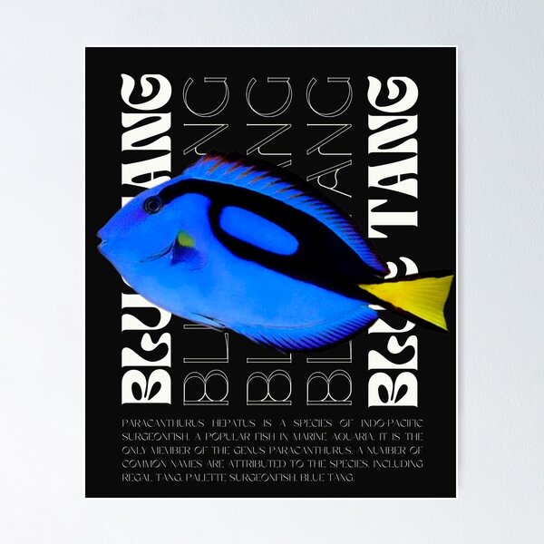 Item preview, Tropical Marine Collection: Blue Surgeonfish designed and sold by lucianacordoba.