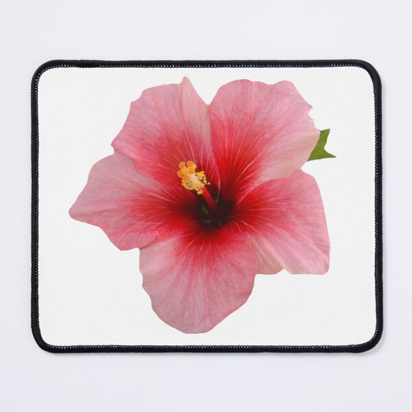Item preview, Pink Hibiscus Flower Print designed and sold by designs delight.