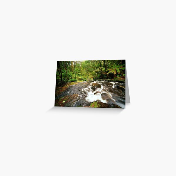 Item preview, Rainforest Stream, The Otways designed and sold by Kevin McGennan.