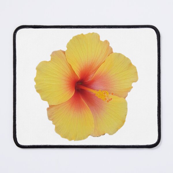 Item preview, Yellow Hibiscus Flower Print designed and sold by designs delight.