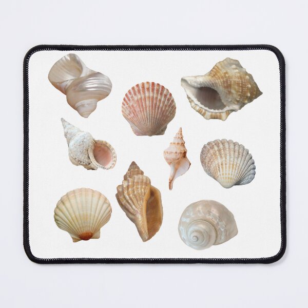 Item preview, Seashell Assortment Print designed and sold by designs delight.