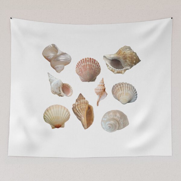 Item preview, Seashell Assortment Print designed and sold by designs delight.