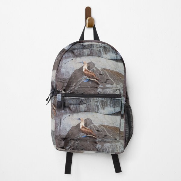 Item preview, Blue Footed Bird Perched on Rock designed and sold by SafariByMarisa.