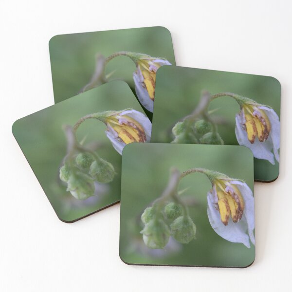 Item preview, Carolina horsenettle designed and sold by Tonia Delozier's Photography .