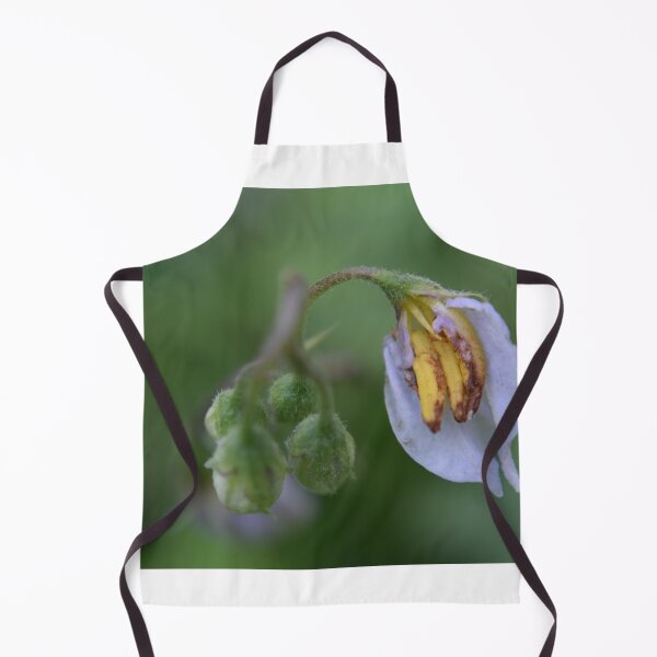 Item preview, Carolina horsenettle designed and sold by Tonia Delozier's Photography .