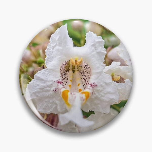 Item preview, Southern Catalpa Delicate Floral designed and sold by FloresInColor1.