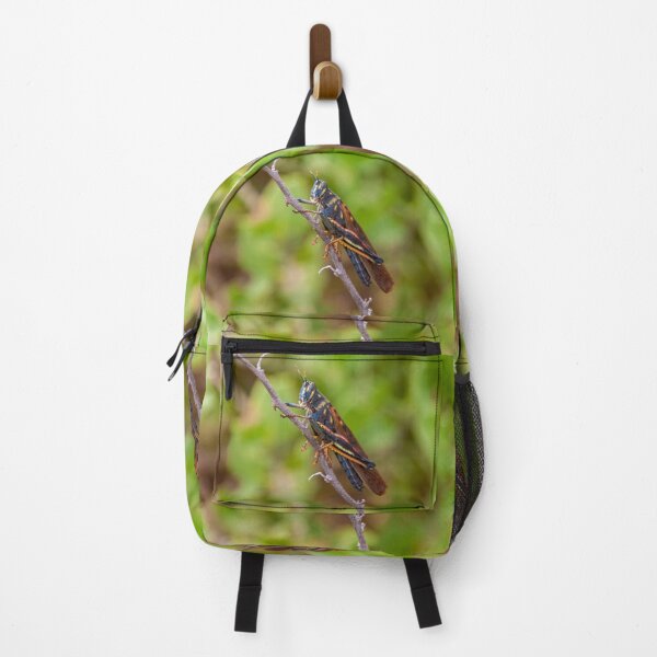 Item preview, Colorful Painted Locust designed and sold by SafariByMarisa.