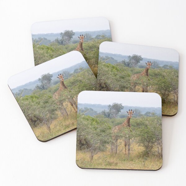 Item preview, Young Giraffe Among Acacia Trees designed and sold by SafariByMarisa.