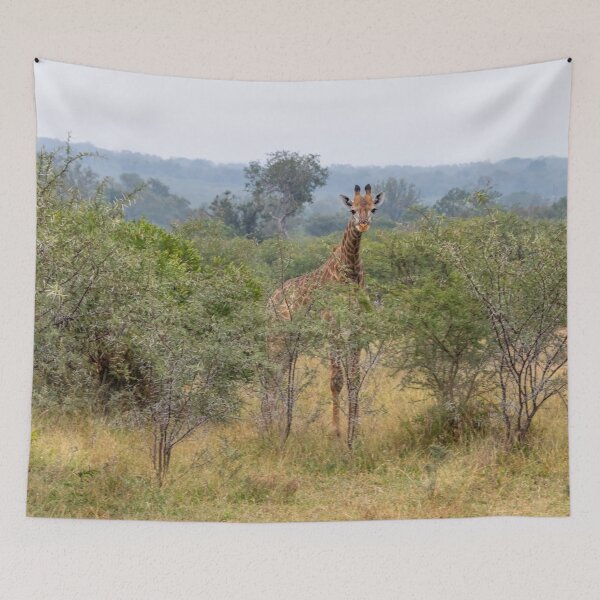 Item preview, Young Giraffe Among Acacia Trees designed and sold by SafariByMarisa.